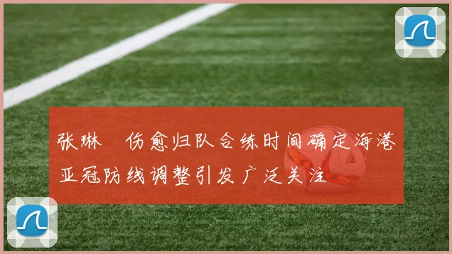 张琳芃伤愈归队合练时间确定海港亚冠防线调整引发广泛关注